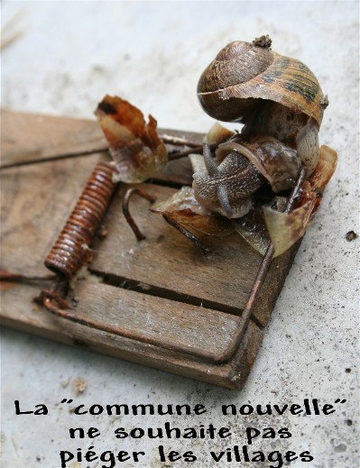 légende officielle de la photo trappe à souris...